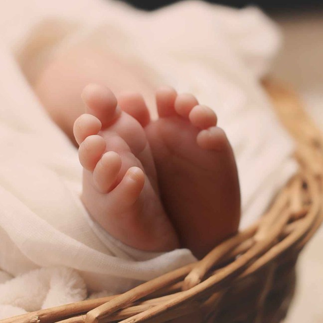 newborn-baby-feet-basket-161534.jpeg