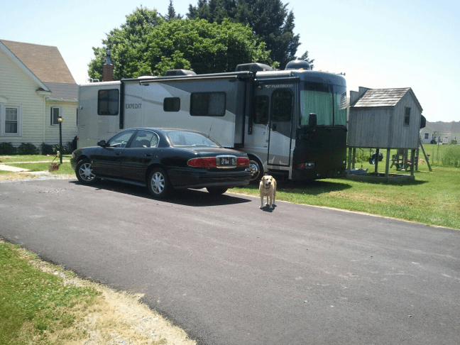 902655_525183010852172_169083626_o